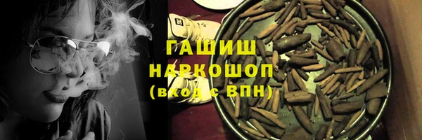 хмурый Алексин
