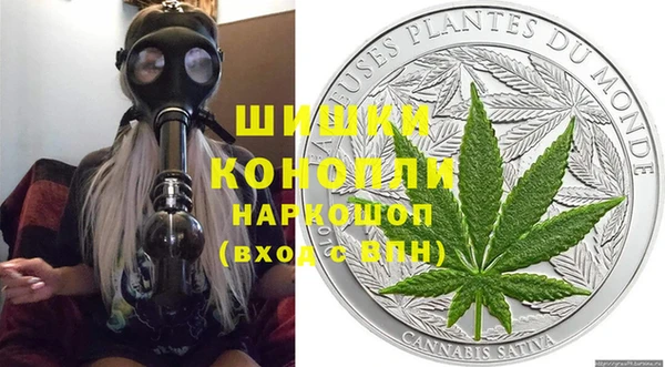 соль ск Пестово