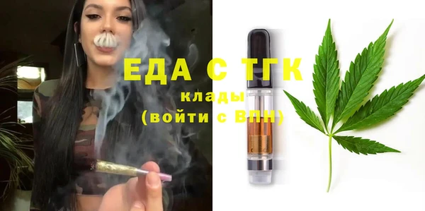 хмурый Алексин