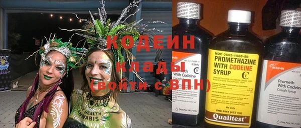 хмурый Алексин